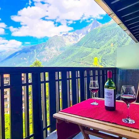 Superbe T3 En Face Du Brevent, * Chamonix