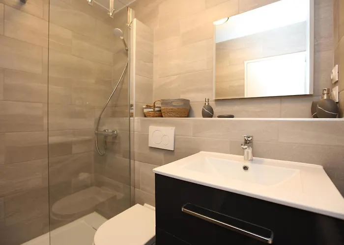 Superbe T3 En Face Du Brevent, Apartment